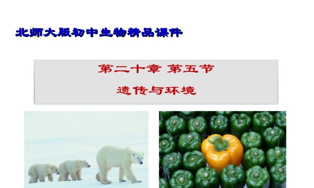 八年级生物上册 20.5 遗传与环境课件 北师大版