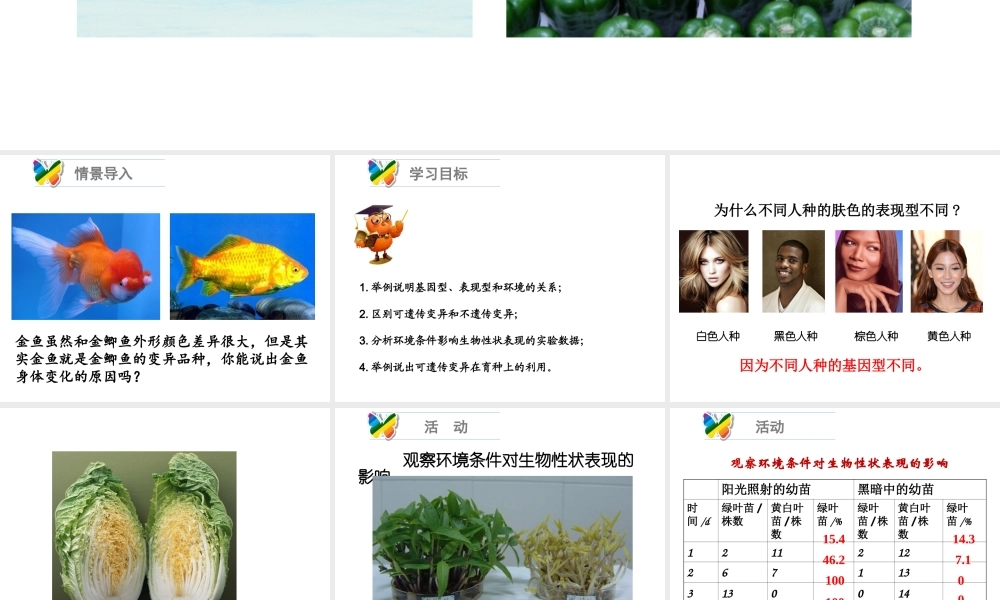 八年级生物上册 20.5 遗传与环境课件 北师大版