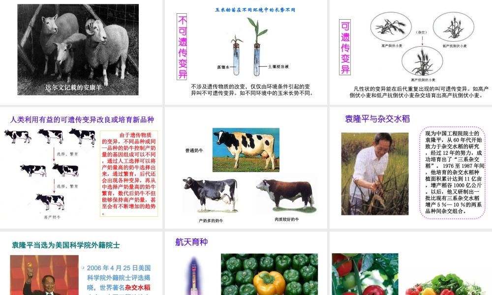 八年级生物上册 20.5 遗传与环境课件 北师大版