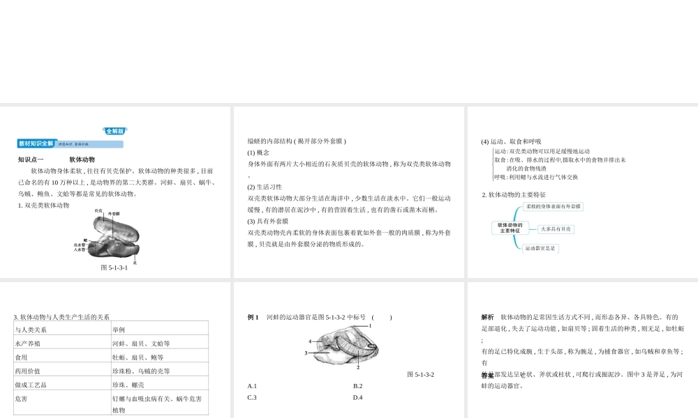 八年级生物上册 5.1.3软体动物和节肢动物课件 （新版）新人教版-（新版）新人教版初中八年级上册生物课件