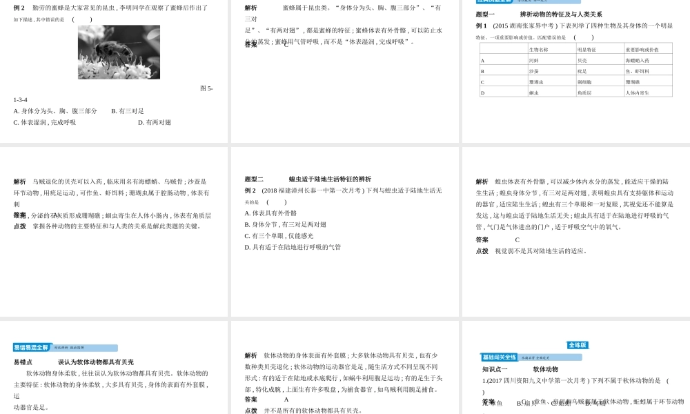八年级生物上册 5.1.3软体动物和节肢动物课件 （新版）新人教版-（新版）新人教版初中八年级上册生物课件