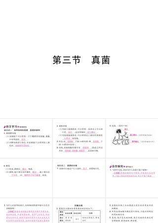 八年级生物上册 5.4.3 真菌作业课件 （新版）新人教版-（新版）新人教级上册生物课件