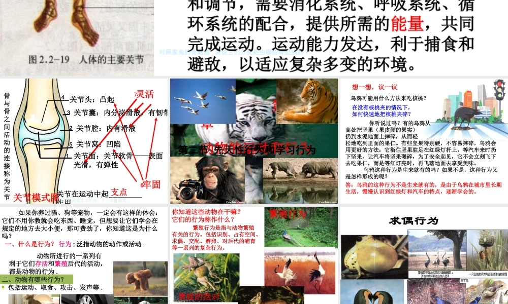八年级生物上册 5.2.2《先天性行为和学习行为》课件2 （新版）新人教版-（新版）新人教级上册生物课件