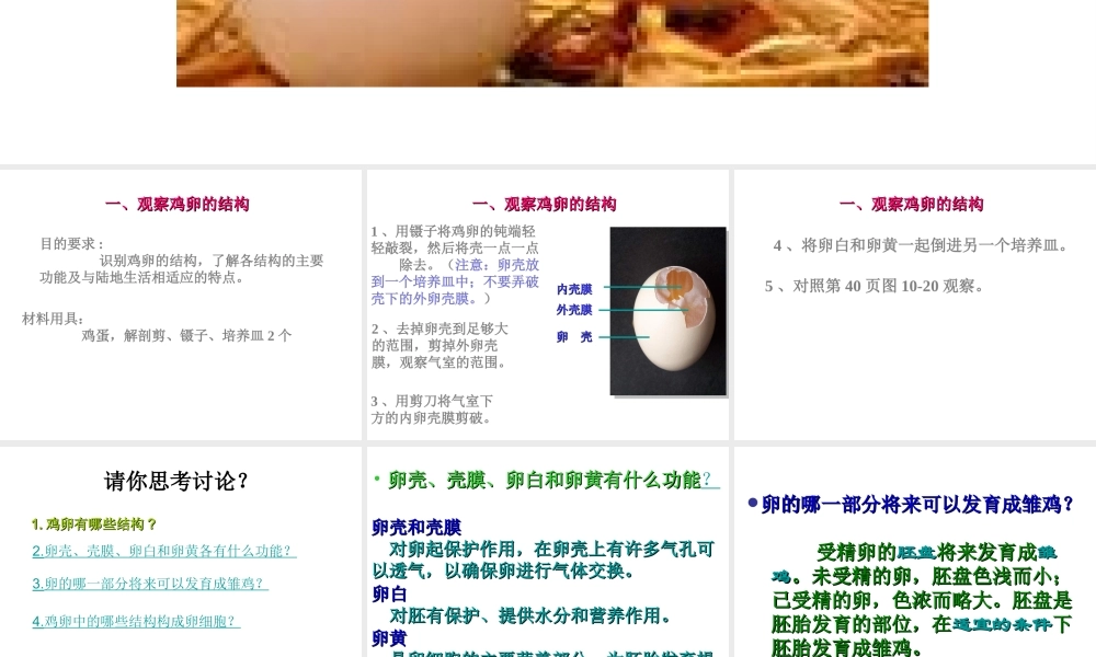 八年级生物上册 第10章 第2节 动物的的生殖和发育（三 鸟类的生殖和发育）课件 北京课改版-北京课改级上册生物课件