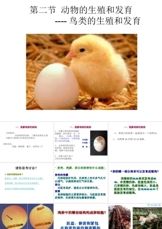 八年级生物上册 第10章 第2节 动物的的生殖和发育（三 鸟类的生殖和发育）课件 北京课改版-北京课改级上册生物课件