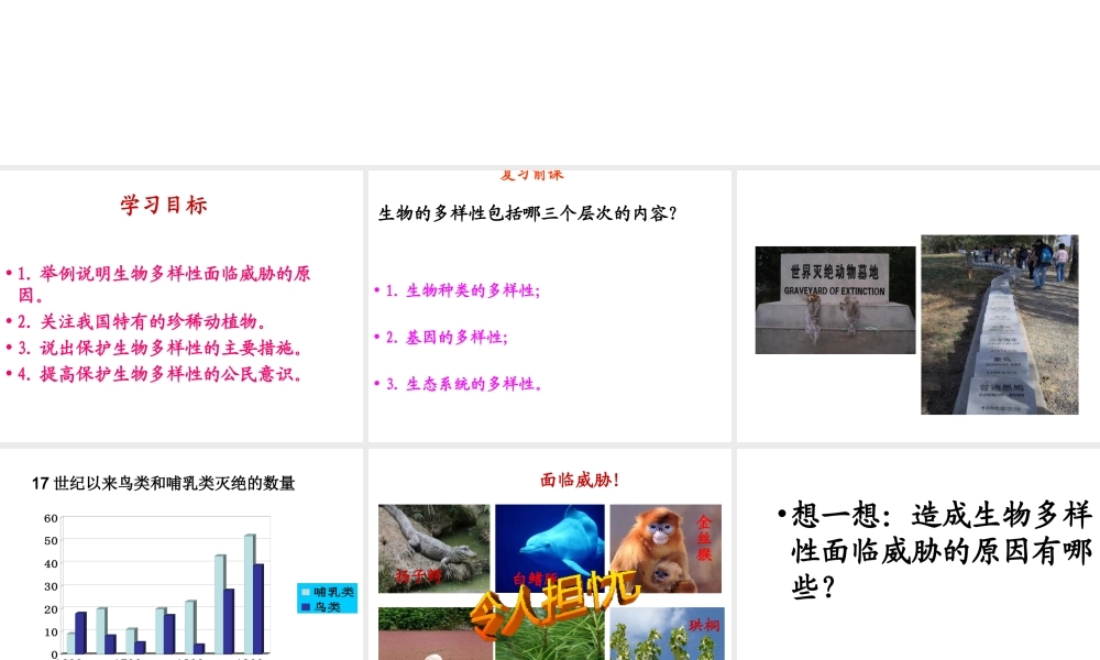 八年级生物上册 6.3 保护生物的多样性课件 （新版）新人教版-（新版）新人教版初中八年级全册生物课件