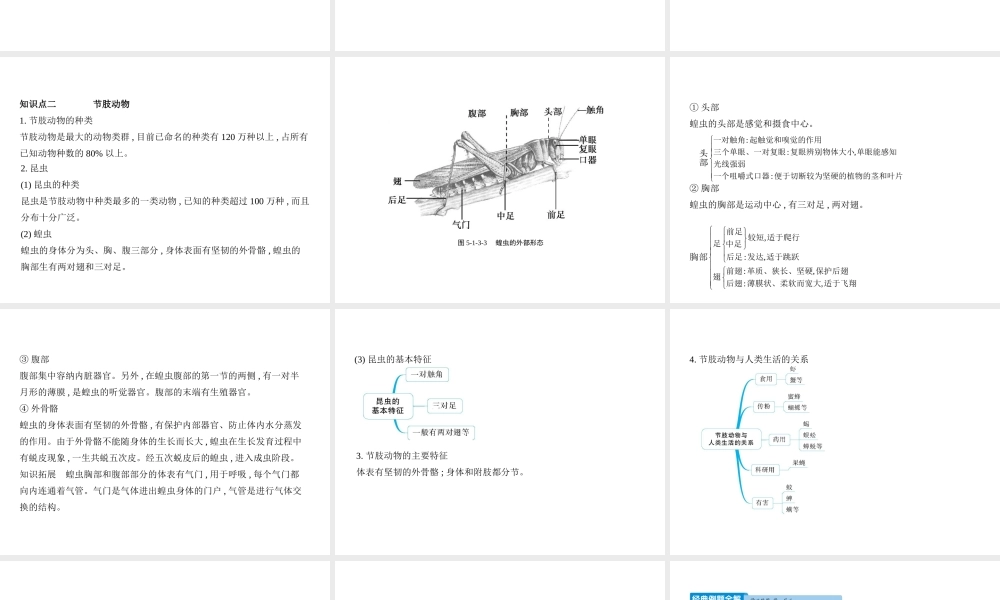 八年级生物上册 5.1.3软体动物和节肢动物课件 （新版）新人教版-（新版）新人教级上册生物课件