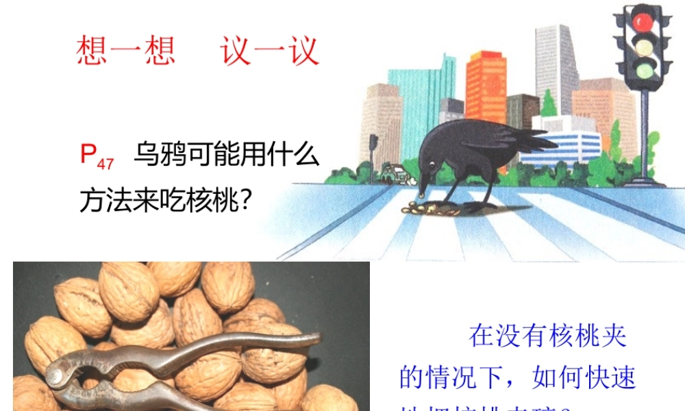 八年级生物上册 5.2.2《先天性行为和学习行为》课件3 （新版）新人教版-（新版）新人教版初中八年级上册生物课件