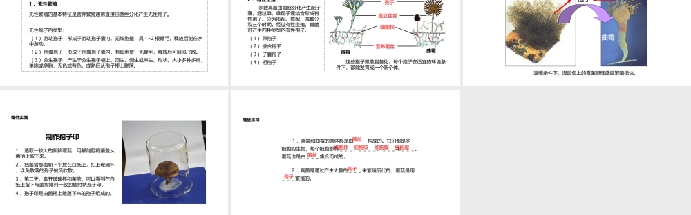 八年级生物上册 5.4.3《真菌》教学课件 （新版）新人教版-（新版）新人教版初中八年级上册生物课件
