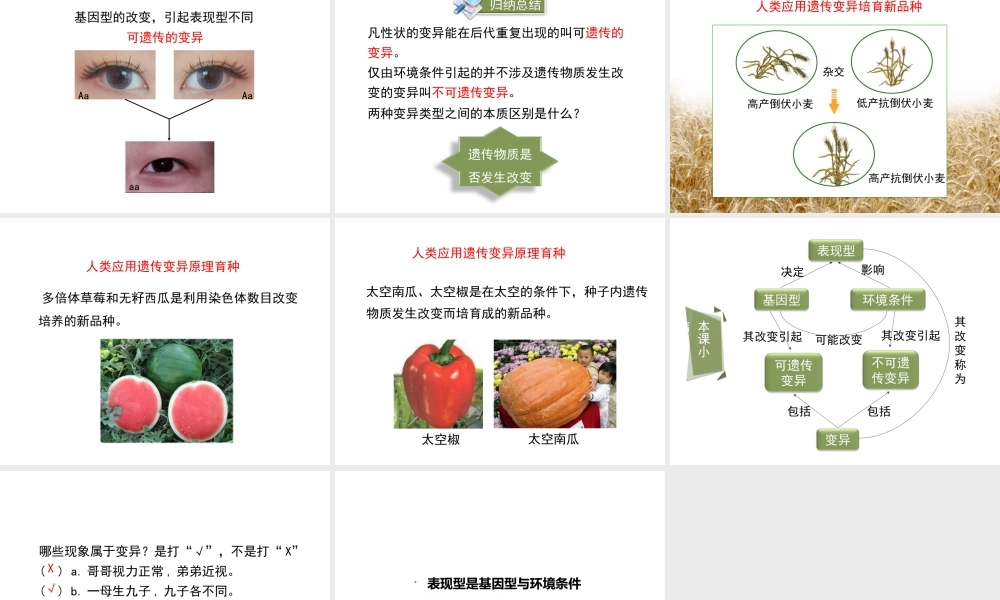 八年级生物上册 20.5 遗传与环境课件（1）（新版）北师大版-（新版）北师大版初中八年级上册生物课件