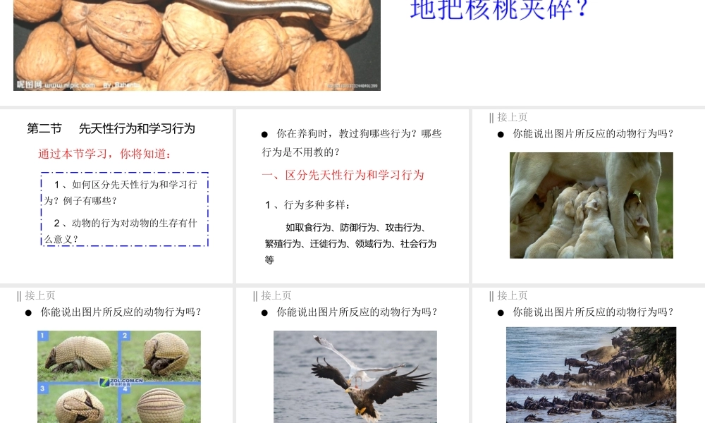 八年级生物上册 5.2.2《先天性行为和学习行为》课件3 （新版）新人教版-（新版）新人教级上册生物课件