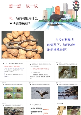 八年级生物上册 5.2.2《先天性行为和学习行为》课件3 （新版）新人教版-（新版）新人教级上册生物课件