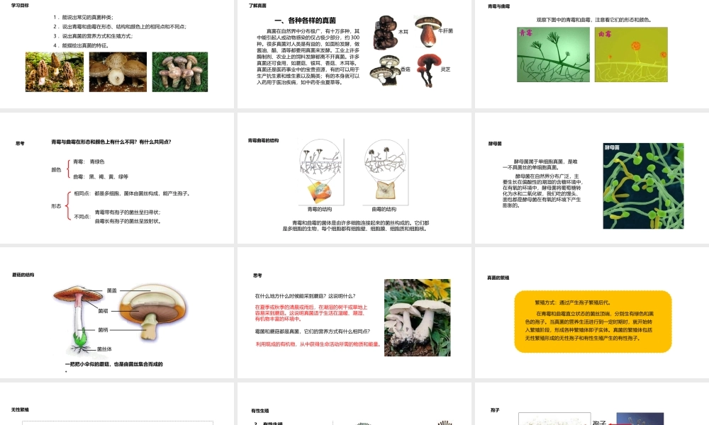 八年级生物上册 5.4.3《真菌》教学课件 （新版）新人教版-（新版）新人教级上册生物课件