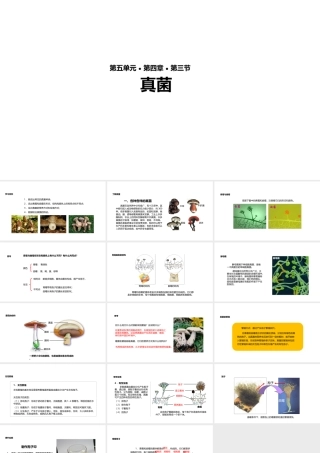 八年级生物上册 5.4.3《真菌》教学课件 （新版）新人教版-（新版）新人教级上册生物课件