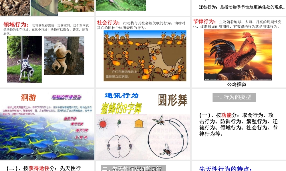八年级生物上册 5.2.2《先天性行为和学习行为》课件4 （新版）新人教版-（新版）新人教版初中八年级上册生物课件