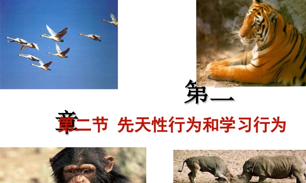 八年级生物上册 5.2.2《先天性行为和学习行为》课件4 （新版）新人教版-（新版）新人教级上册生物课件