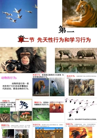 八年级生物上册 5.2.2《先天性行为和学习行为》课件4 （新版）新人教版-（新版）新人教级上册生物课件
