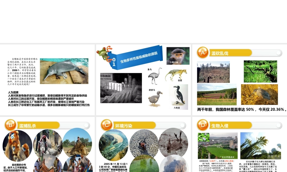 八年级生物上册 6.3 保护生物的多样性课件 （新版）新人教版-（新版）新人教版初中八年级上册生物课件