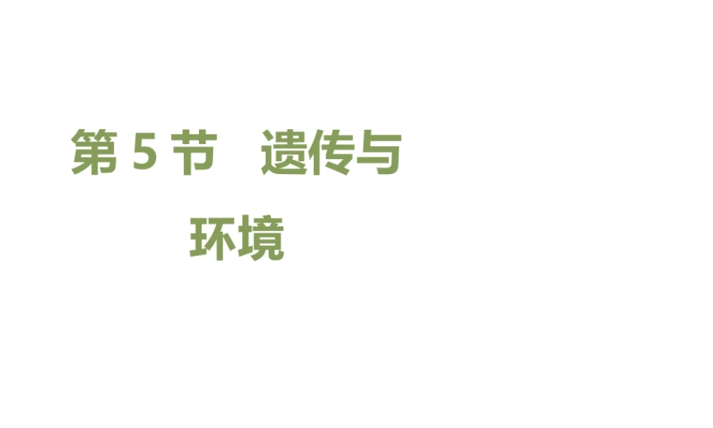 八年级生物上册 20.5 遗传与环境课件（2）（新版）北师大版-（新版）北师大版初中八年级上册生物课件