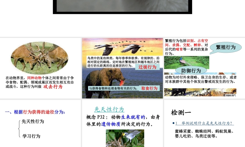 八年级生物上册 5.2.2先天性行为和学习行为课件 人教新课标版