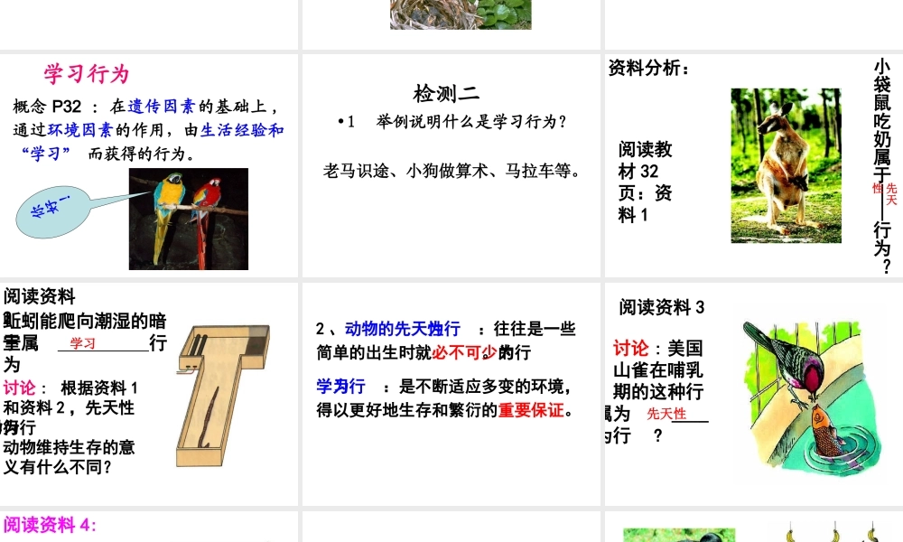 八年级生物上册 5.2.2先天性行为和学习行为课件 人教新课标版