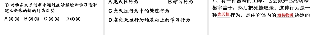 八年级生物上册 5.2.2先天性行为和学习行为课件 人教新课标版