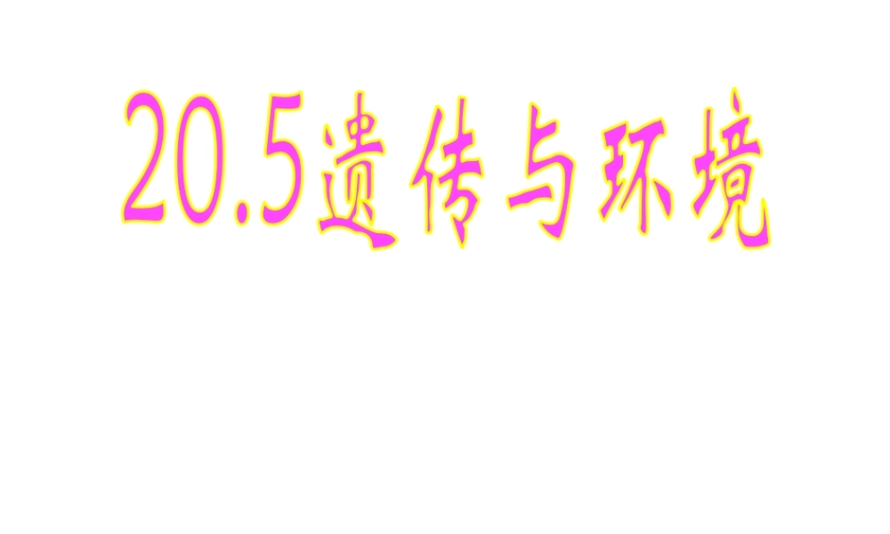 八年级生物上册 20.5《遗传与环境》课件1 （新版）北师大版-（新版）北师大版初中八年级上册生物课件