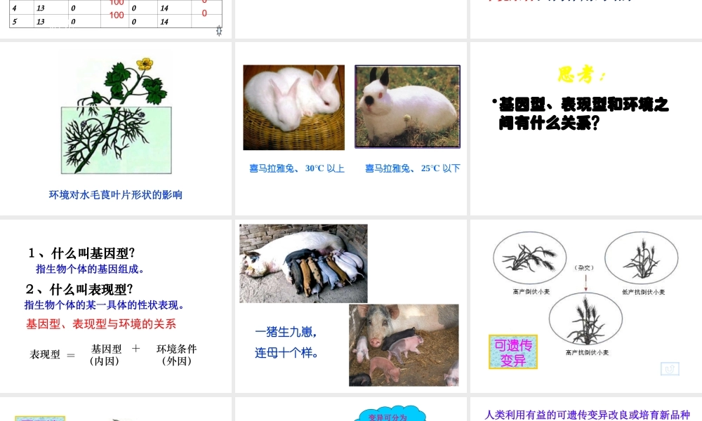 八年级生物上册 20.5《遗传与环境》课件1 （新版）北师大版-（新版）北师大版初中八年级上册生物课件