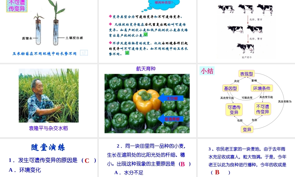 八年级生物上册 20.5《遗传与环境》课件1 （新版）北师大版-（新版）北师大版初中八年级上册生物课件