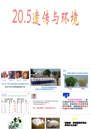 八年级生物上册 20.5《遗传与环境》课件1 （新版）北师大版-（新版）北师大版初中八年级上册生物课件