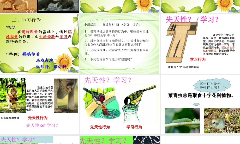 八年级生物上册 5.2.2先天性行为与学习行为课件 （新版）新人教版-（新版）新人教版初中八年级上册生物课件