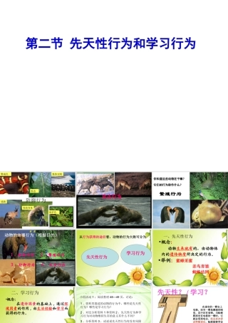 八年级生物上册 5.2.2先天性行为与学习行为课件 （新版）新人教版-（新版）新人教版初中八年级上册生物课件