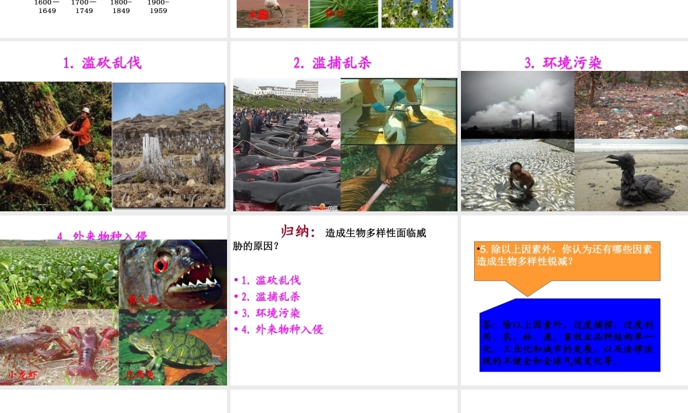 八年级生物上册 6.3 保护生物的多样性课件 （新版）新人教版-（新版）新人教级全册生物课件