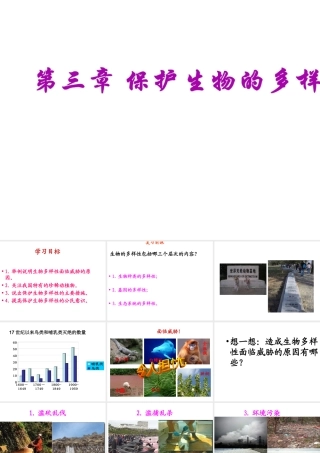 八年级生物上册 6.3 保护生物的多样性课件 （新版）新人教版-（新版）新人教级全册生物课件