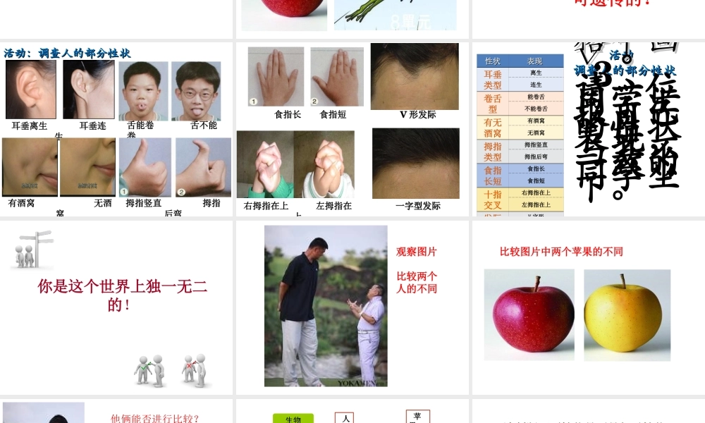 八年级生物上册 第11章 第1节 生物的性状表现课件 北京课改版-北京课改版初中八年级上册生物课件