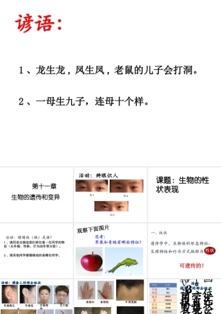 八年级生物上册 第11章 第1节 生物的性状表现课件 北京课改版-北京课改版初中八年级上册生物课件