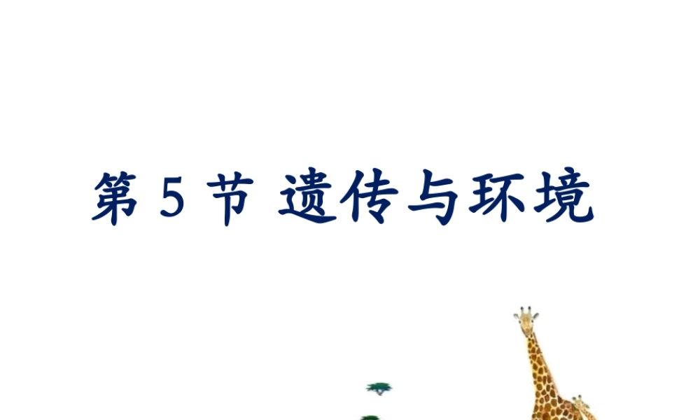 八年级生物上册 20.5《遗传与环境》课件3 （新版）北师大版-（新版）北师大版初中八年级上册生物课件