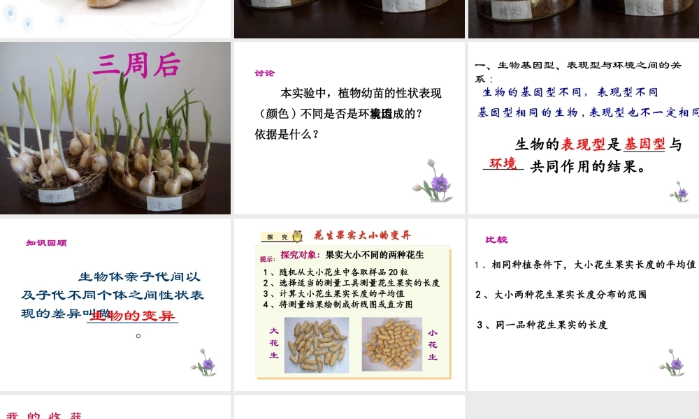 八年级生物上册 20.5《遗传与环境》课件3 （新版）北师大版-（新版）北师大版初中八年级上册生物课件