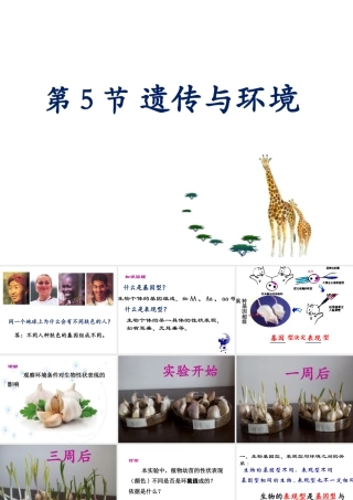 八年级生物上册 20.5《遗传与环境》课件3 （新版）北师大版-（新版）北师大版初中八年级上册生物课件