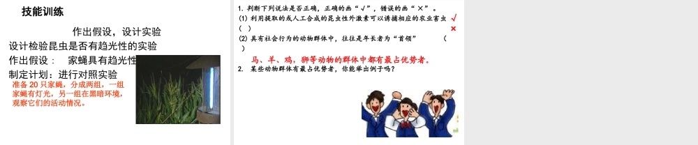 八年级生物上册 5.2.3  社会行为课件 （新版）新人教版-（新版）新人教级上册生物课件