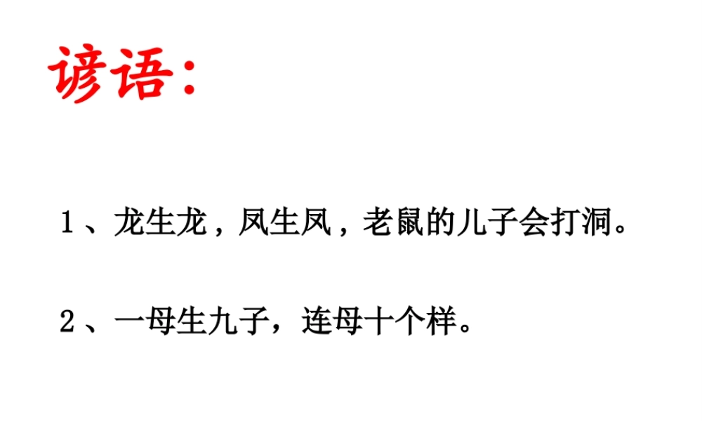 八年级生物上册 第11章 第1节 生物的性状表现课件 北京课改版-北京课改级上册生物课件