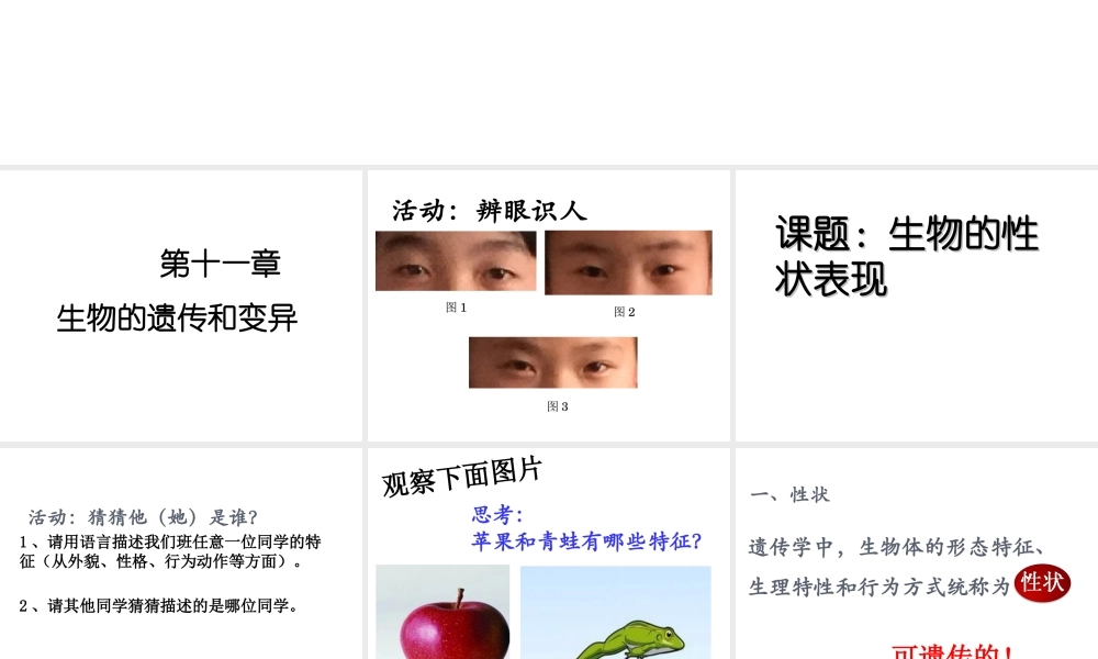 八年级生物上册 第11章 第1节 生物的性状表现课件 北京课改版-北京课改级上册生物课件