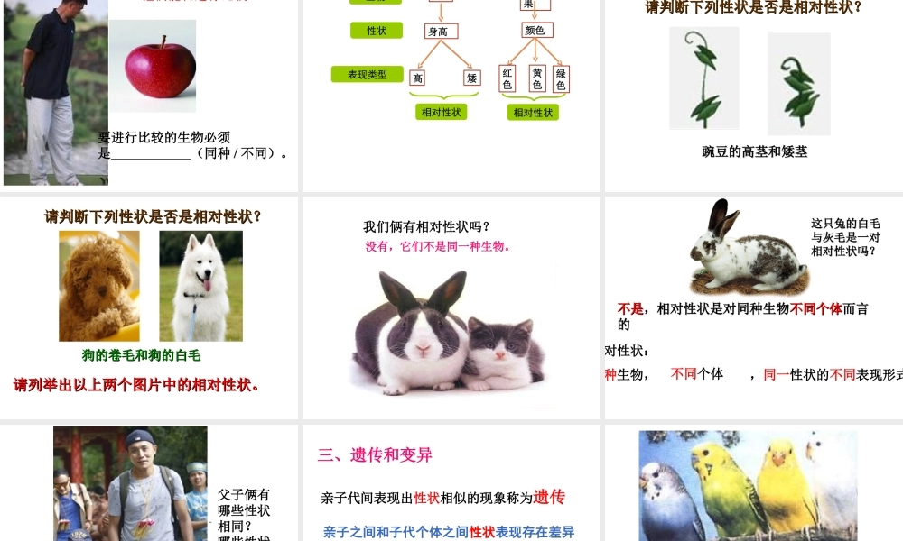 八年级生物上册 第11章 第1节 生物的性状表现课件 北京课改版-北京课改级上册生物课件