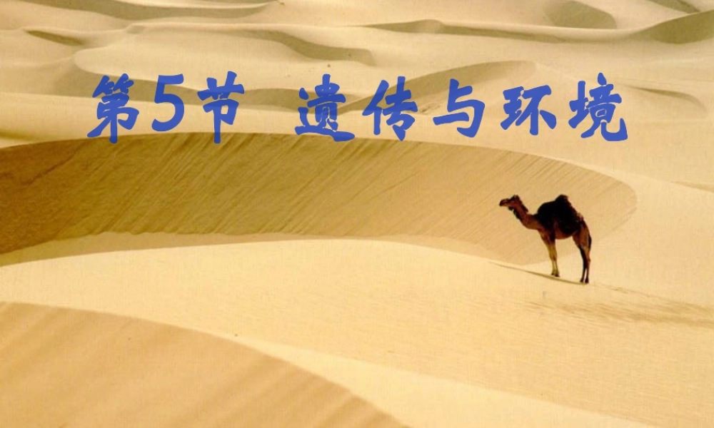 八年级生物上册 20.5《遗传与环境》课件4 （新版）北师大版-（新版）北师大版初中八年级上册生物课件