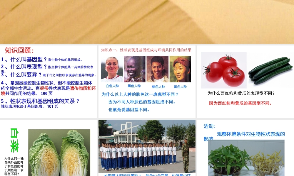 八年级生物上册 20.5《遗传与环境》课件4 （新版）北师大版-（新版）北师大版初中八年级上册生物课件