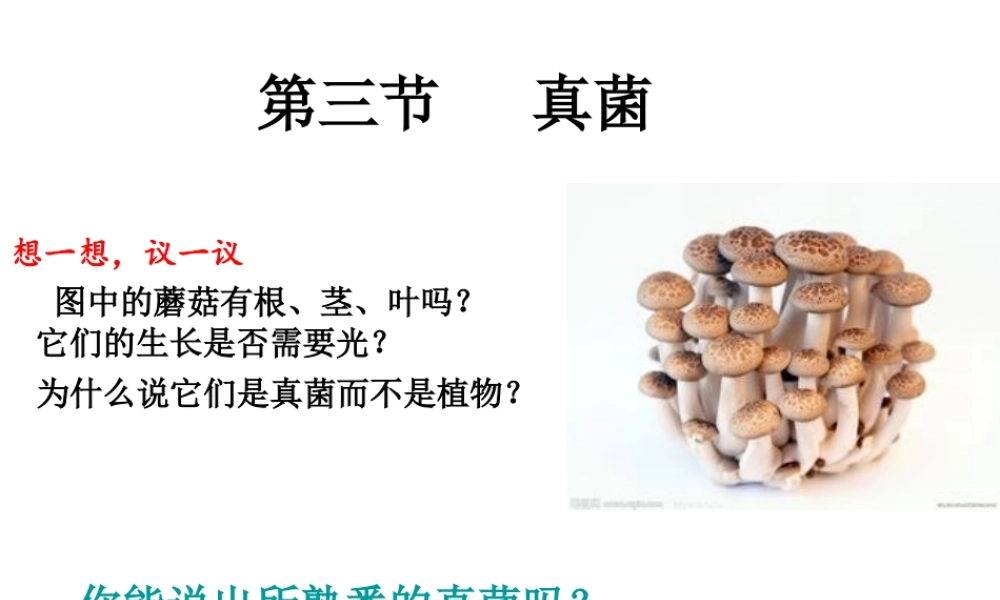 八年级生物上册 5.4.3《真菌》课件2 （新版）新人教版-（新版）新人教版初中八年级上册生物课件
