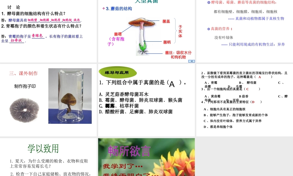 八年级生物上册 5.4.3《真菌》课件2 （新版）新人教版-（新版）新人教版初中八年级上册生物课件