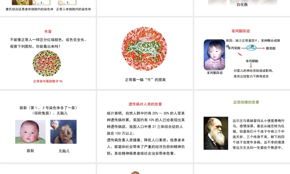 八年级生物上册 20.6 遗传病和人类健康课件（1）（新版）北师大版-（新版）北师大版初中八年级上册生物课件