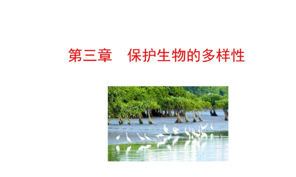 八年级生物上册 6.3 保护生物的多样性课件 （新版）新人教版