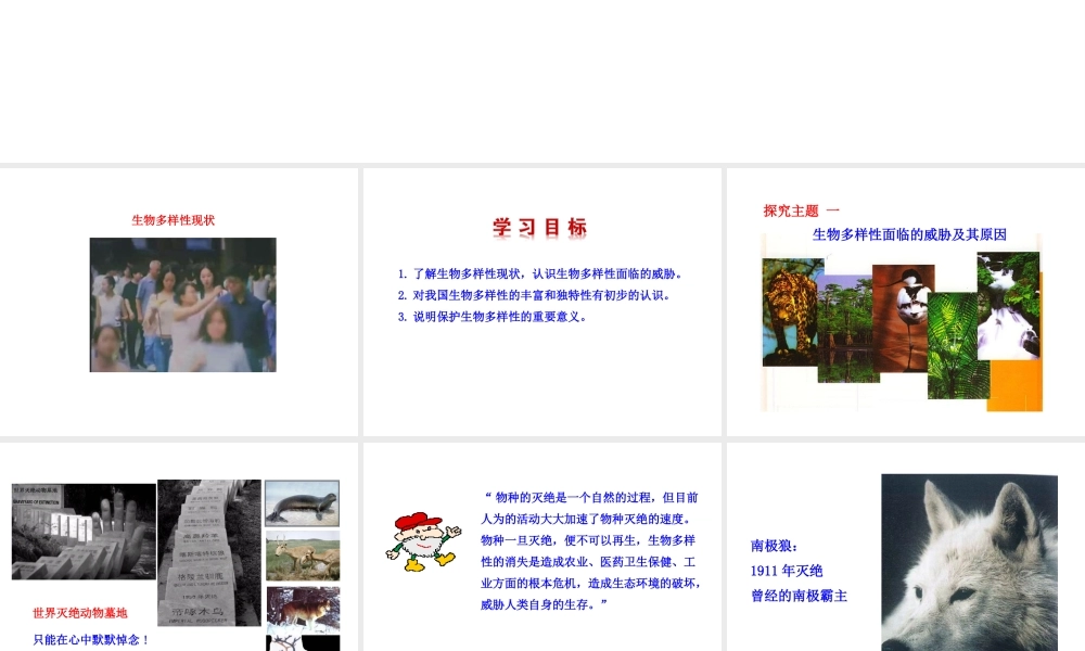 八年级生物上册 6.3 保护生物的多样性课件 （新版）新人教版